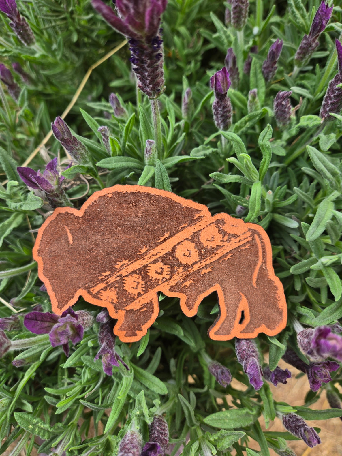 Aztec Buffalo
