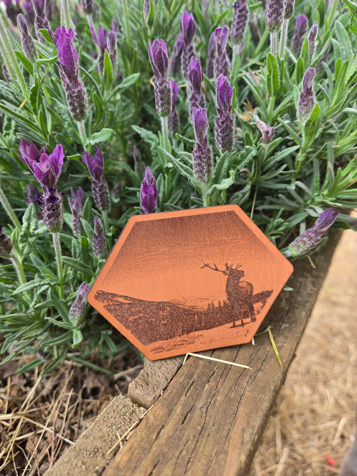 Elk Scene Hexagon
