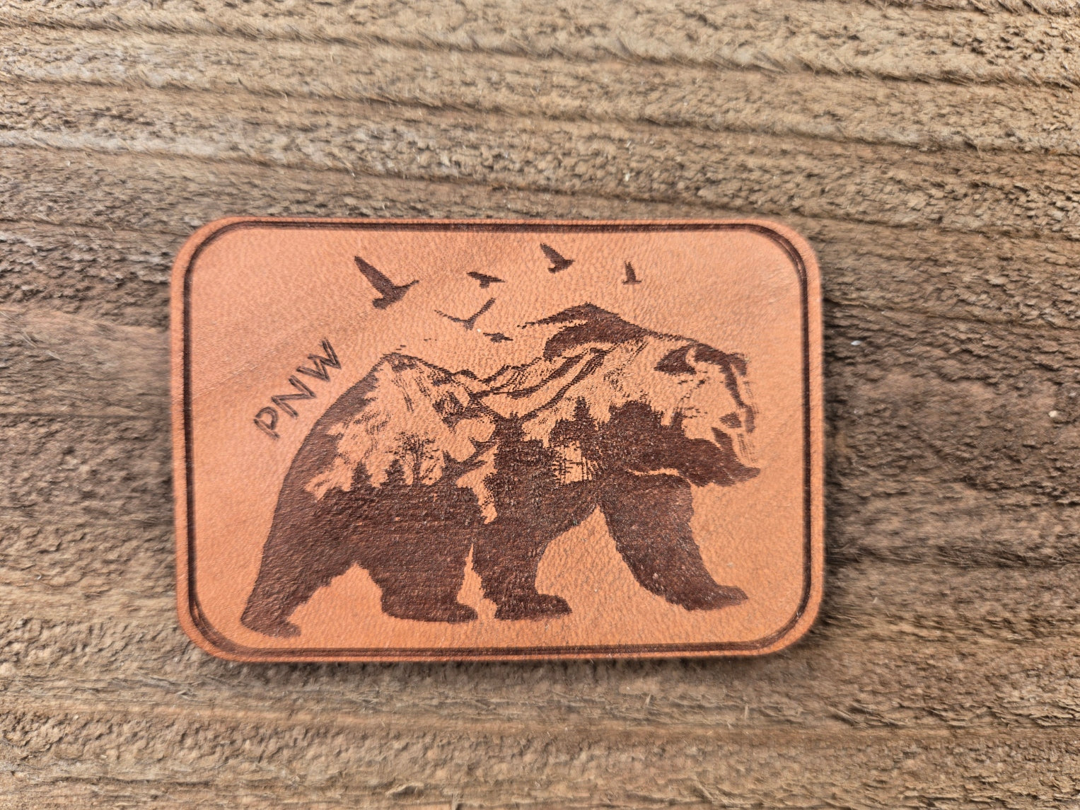 PNW Bear
