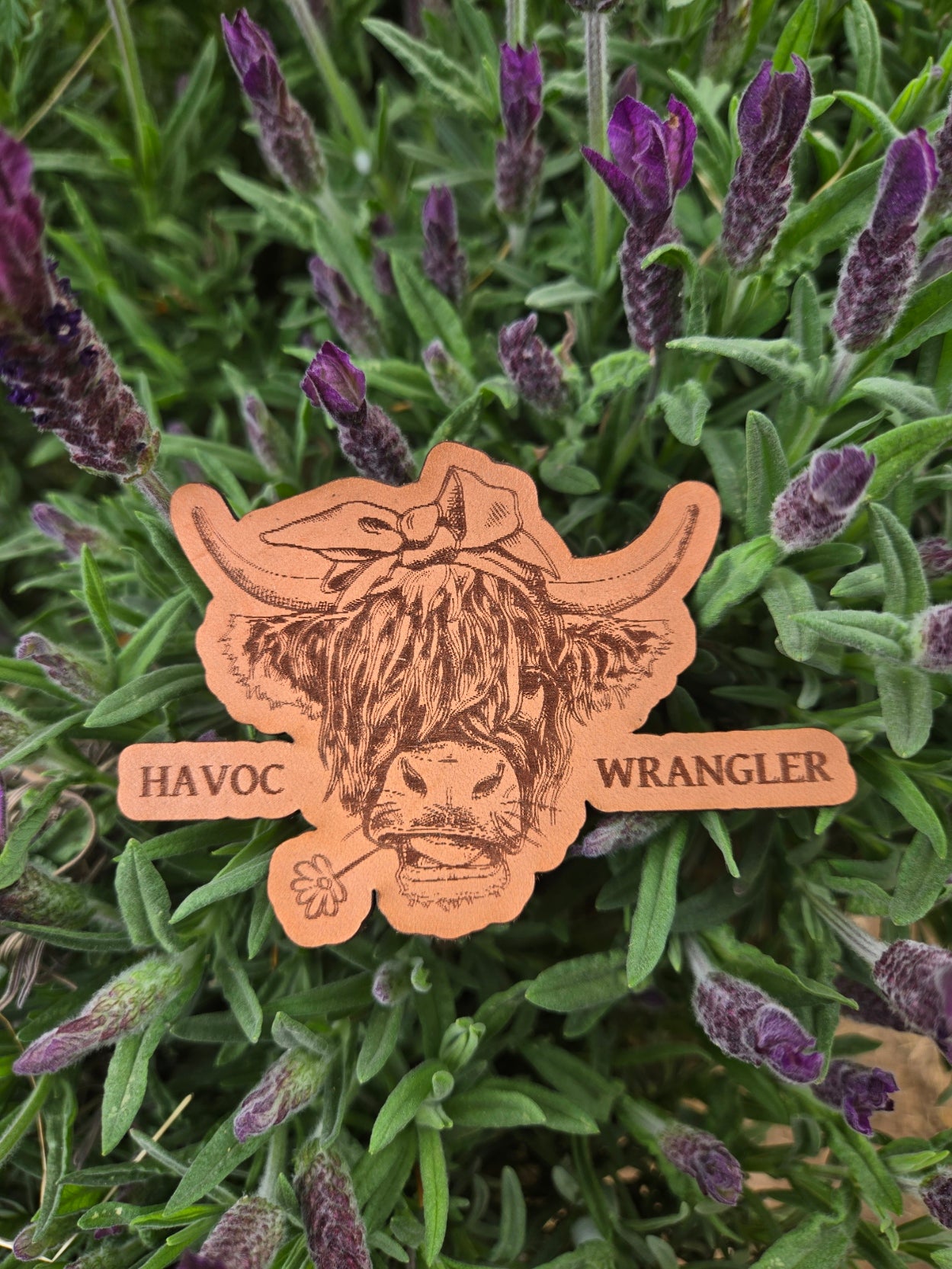 Highland Havoc Wrangler