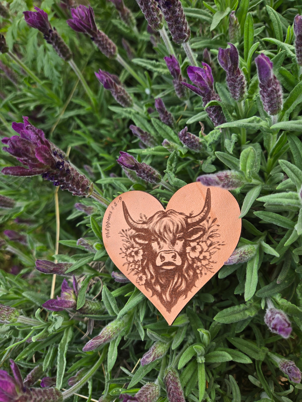 Highland Heart