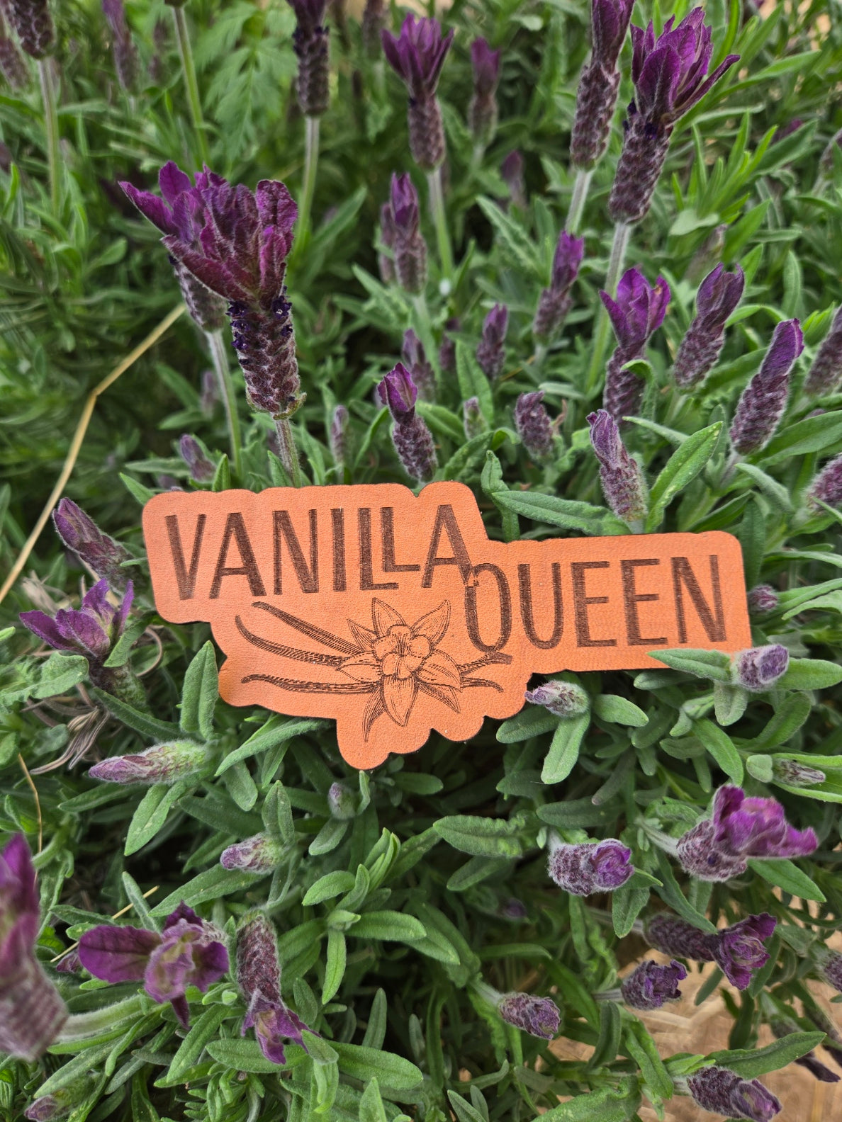 Vanilla Queen