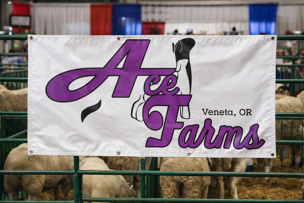 Custom Logo Design | Western, Ranch & Small Business Branding (Digital Files)